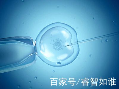 拉拉试管三代代孕机构门诊